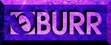 Burr San Francisco, BURR burr scooter lifts wheelchait lifts van lifts motorhome lifts